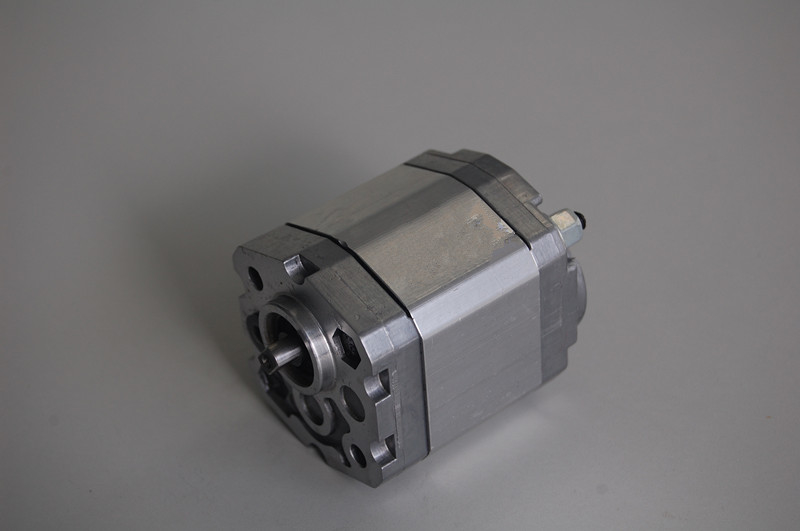 ปั๊มสูญญากาศสำหรับอุตสาหกรรม Marzocchi BHP2B0-D-12 500 - 3000 r / min